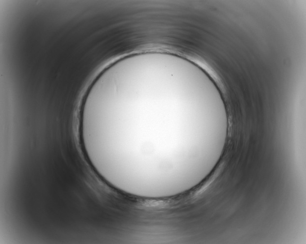 X0000088891094200706080801