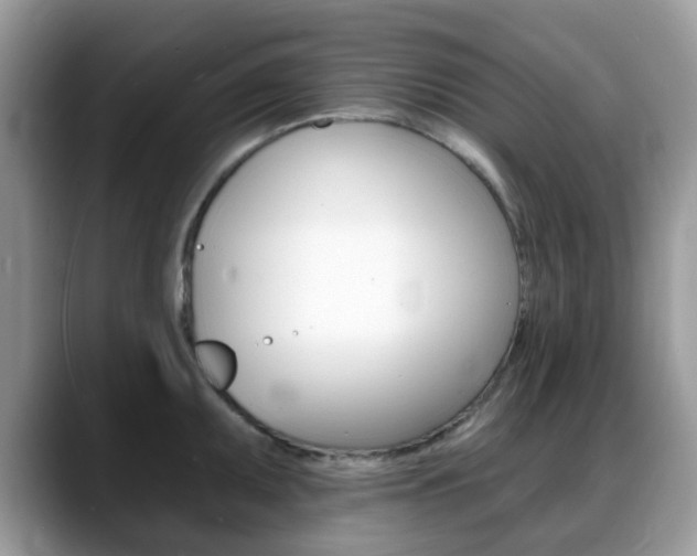 X0000088891095200706080801