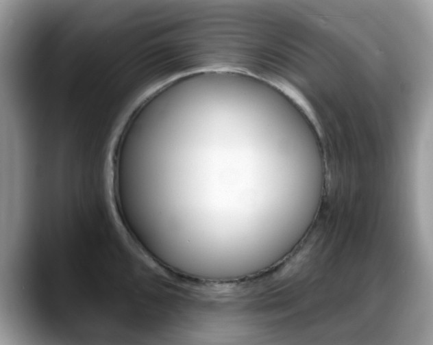 X0000088891096200706080801