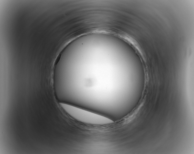 X0000088891097200706080801