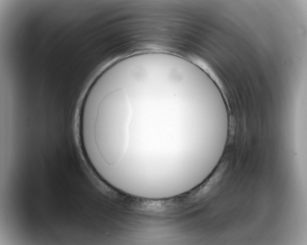 X0000088891098200706080801