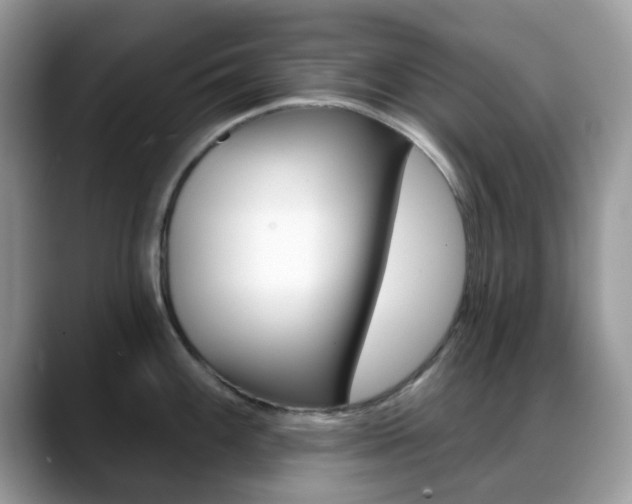 X0000088891100200706080801
