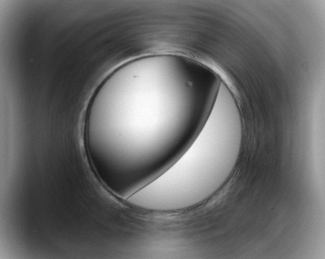 X0000088891102200706080801