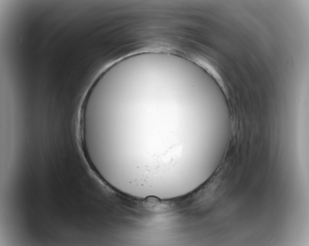 X0000088891103200706080801
