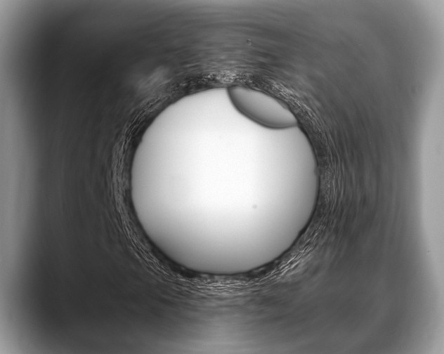 X0000088891105200706080801