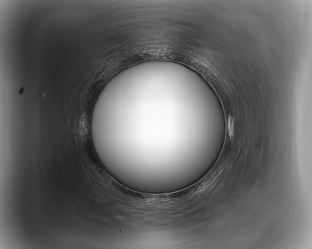 X0000088891107200706080801