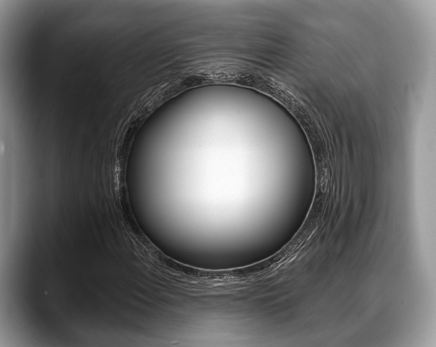 X0000088891108200706080801