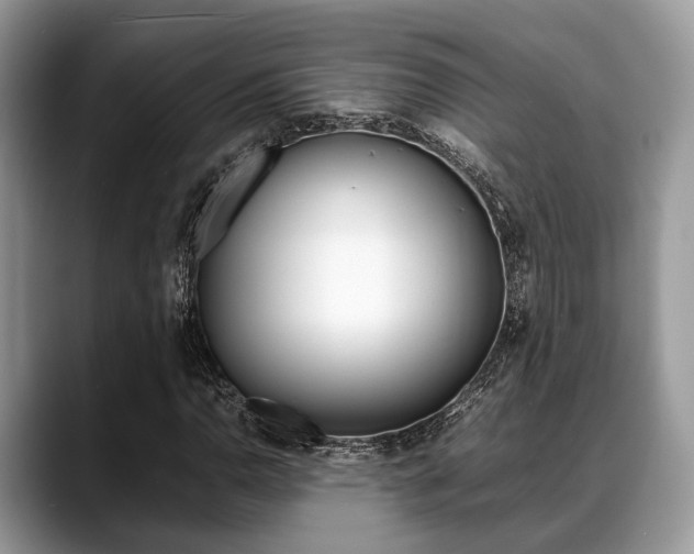 X0000088891110200706080801
