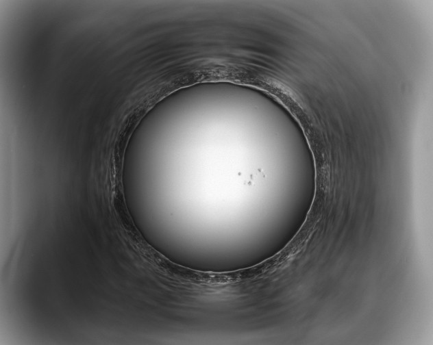 X0000088891111200706080801