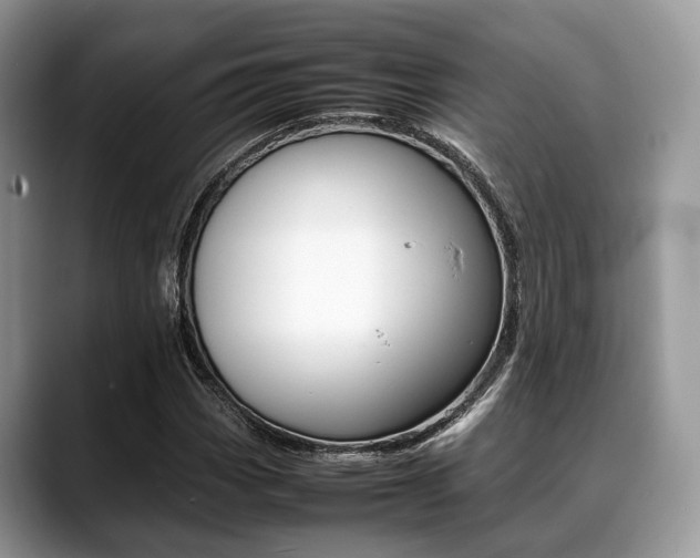 X0000088891113200706080801