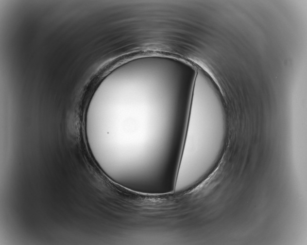 X0000088891115200706080801