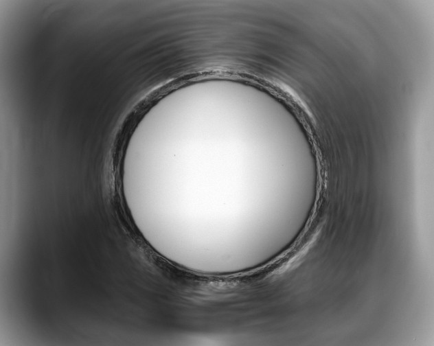 X0000088891117200706080801
