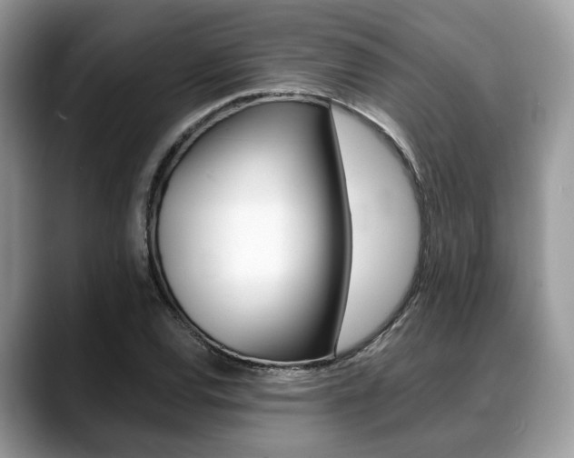 X0000088891120200706080801