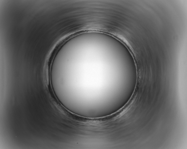 X0000088891123200706080801