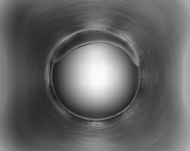 X0000088891128200706080801