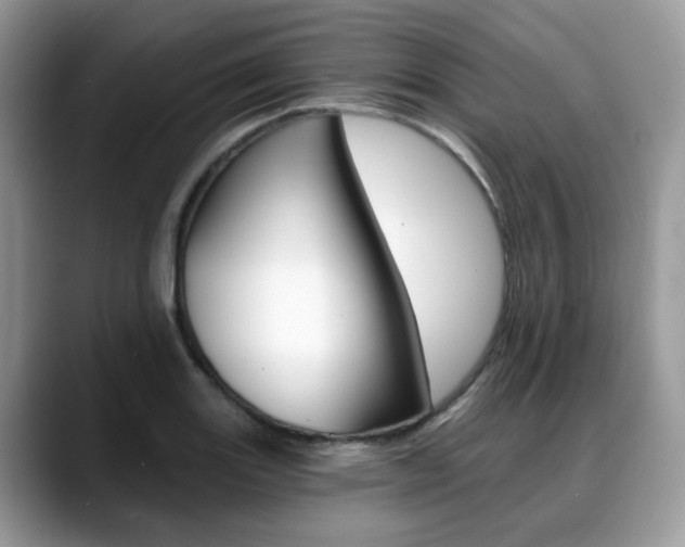 X0000088891131200706080801