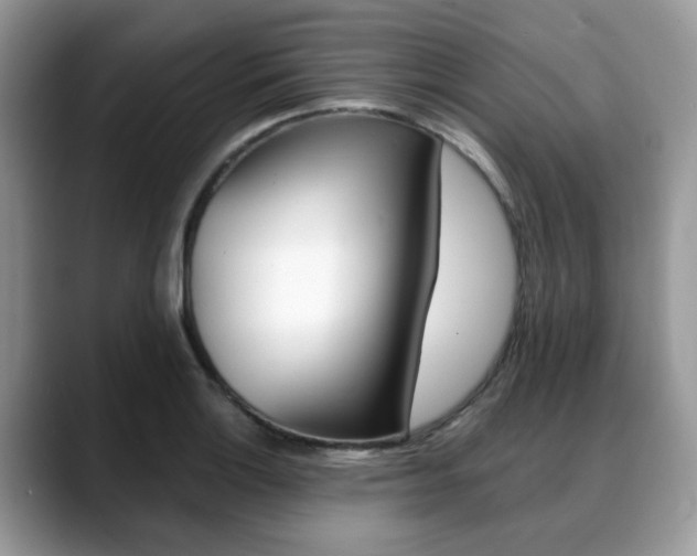 X0000088891132200706080801