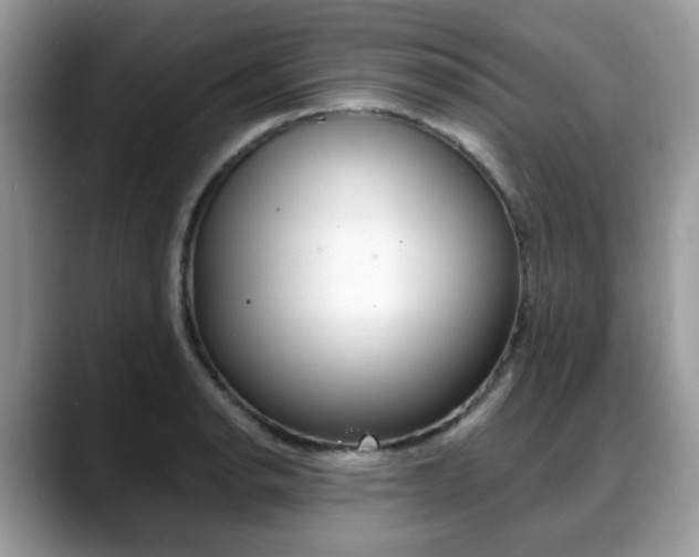 X0000088891134200706080801