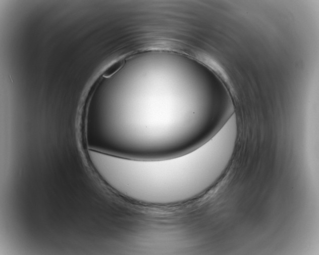 X0000088891138200706080801