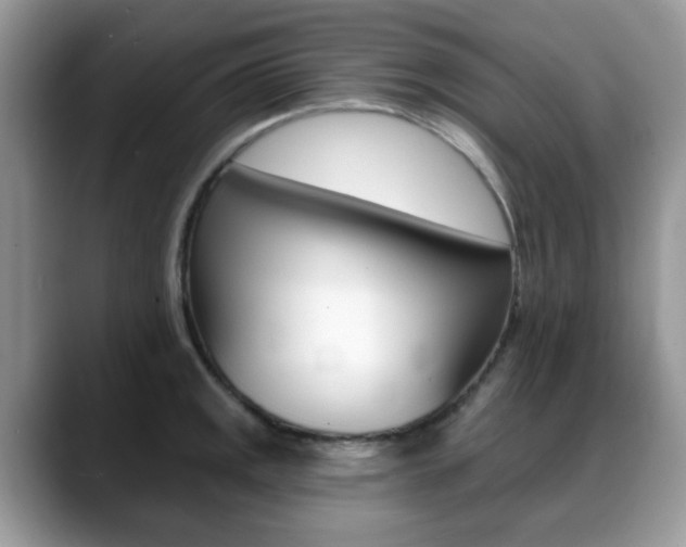 X0000088891141200706080801