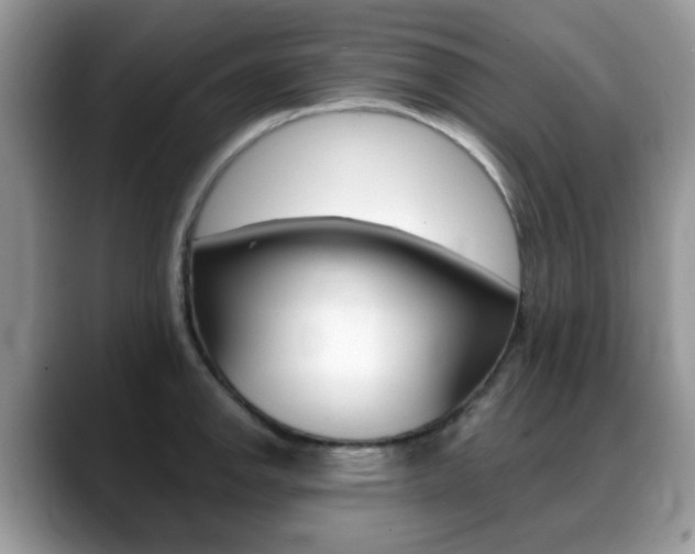 X0000088891142200706080801