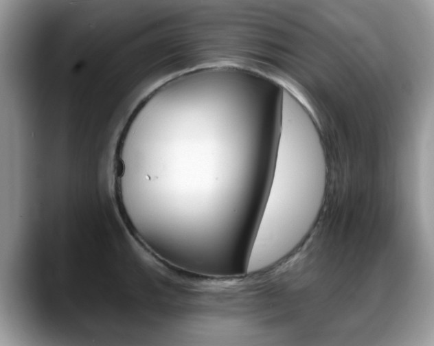X0000088891143200706080801
