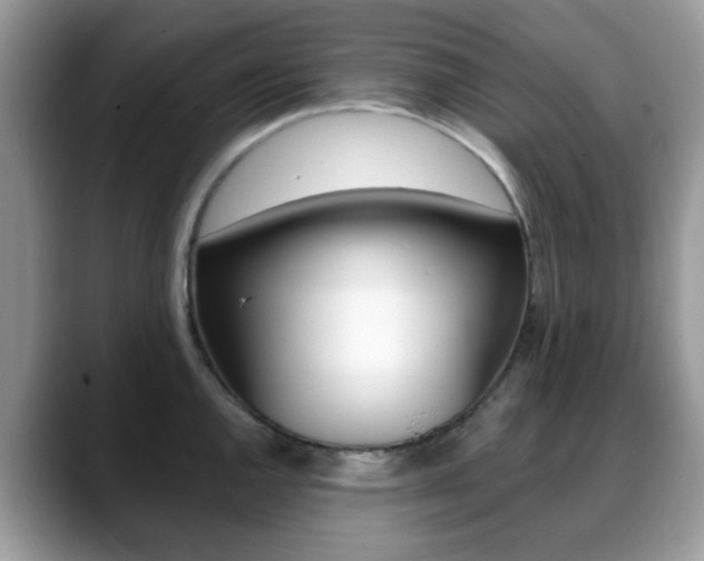 X0000088891144200706080801