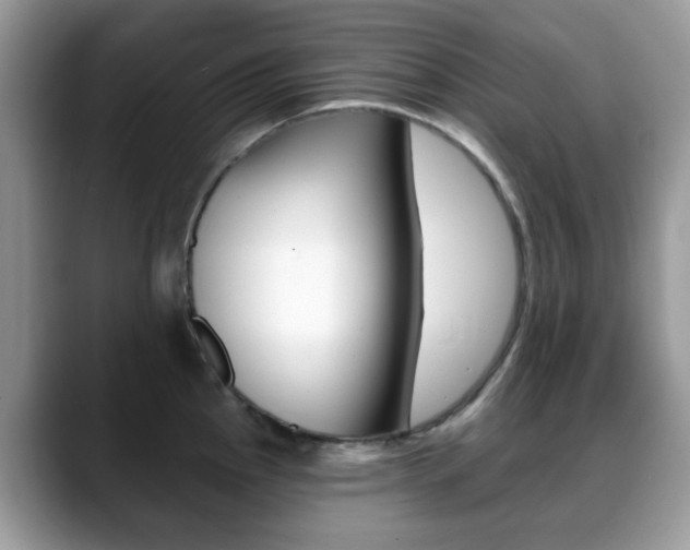 X0000088891145200706080801
