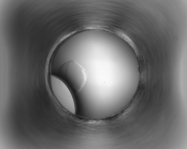 X0000088891146200706080801