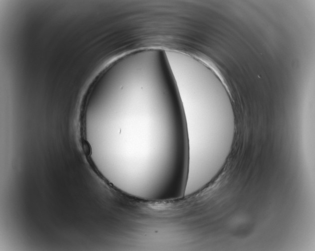 X0000088891147200706080801