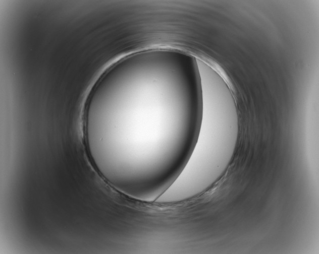 X0000088891148200706080801