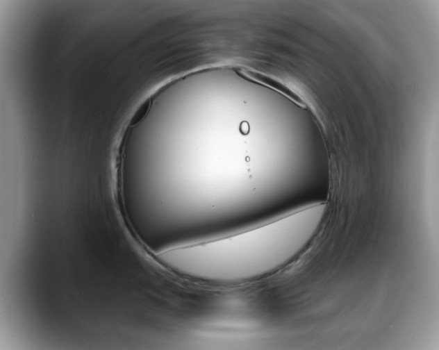 X0000088891151200706080801