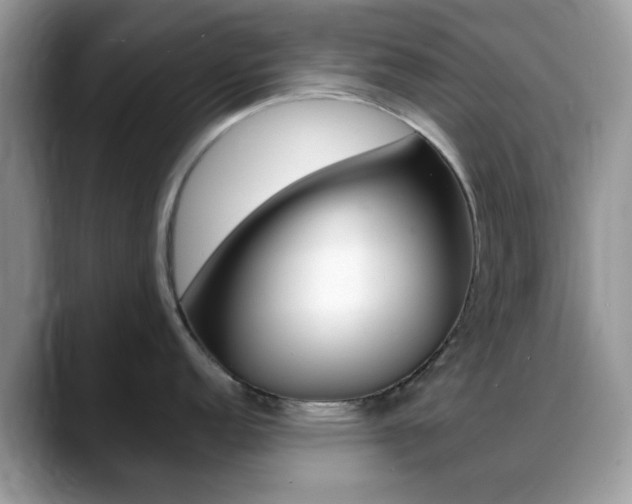 X0000088891152200706080801