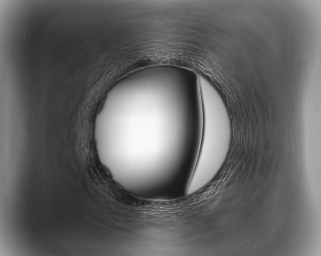 X0000088891153200706080801