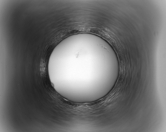 X0000088891154200706080801