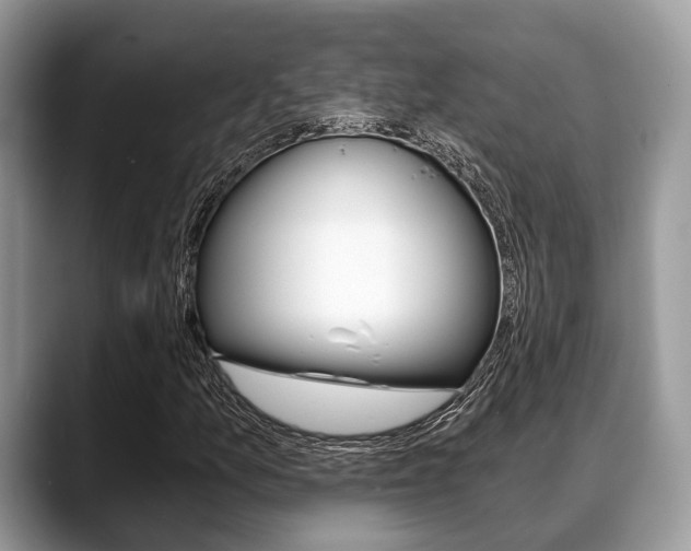 X0000088891157200706080801