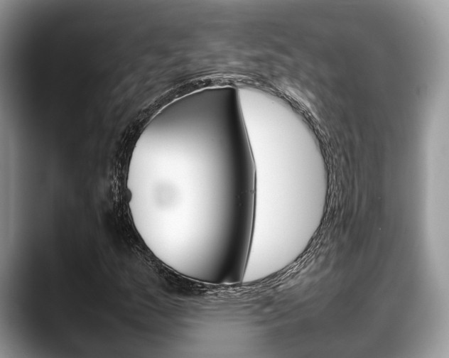 X0000088891159200706080801