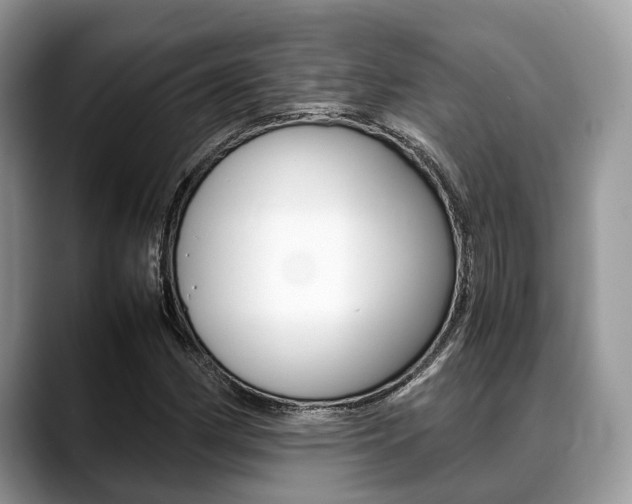 X0000088891162200706080801