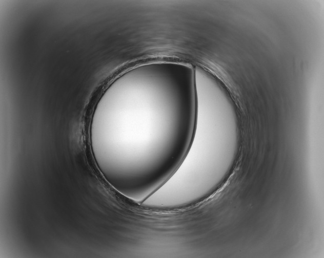 X0000088891164200706080801