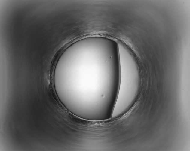 X0000088891165200706080800