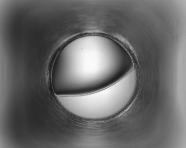 X0000088891167200706080800