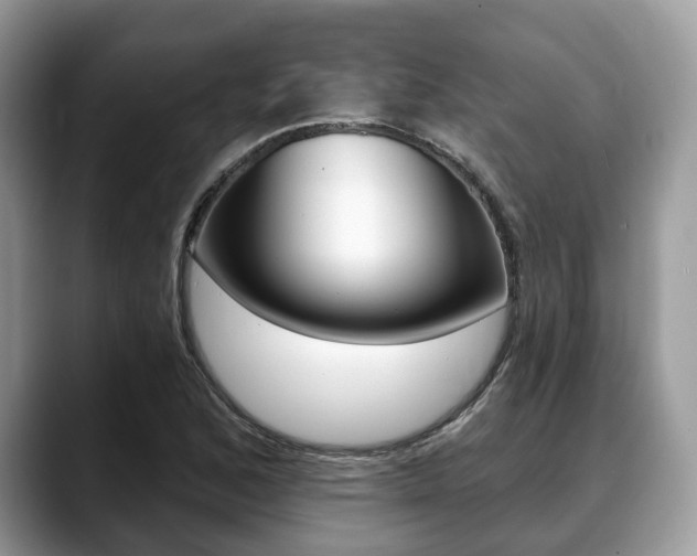 X0000088891168200706080800