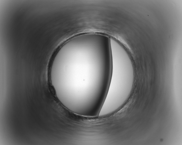 X0000088891173200706080800