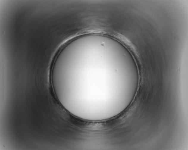 X0000088891174200706080800