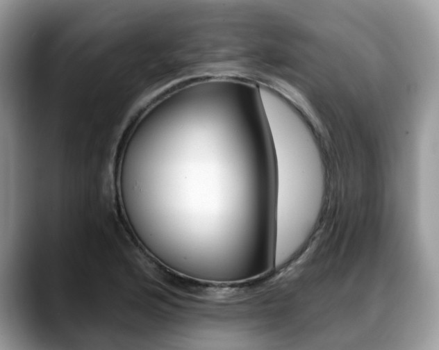 X0000088891176200706080800