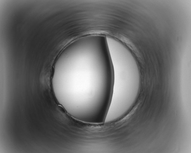 X0000088891177200706080800