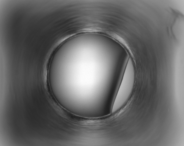 X0000088891179200706080800