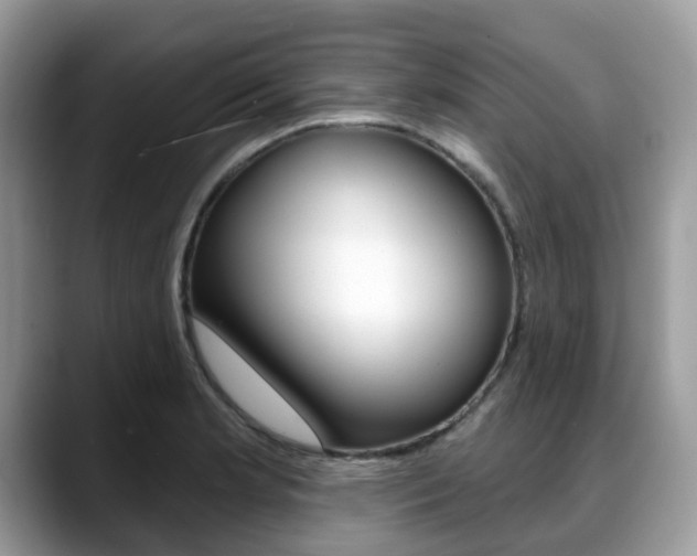 X0000088891181200706080800