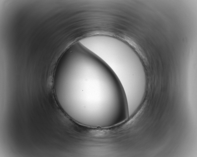 X0000088891185200706080800