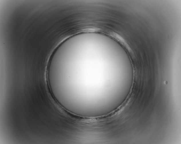 X0000088891186200706080800